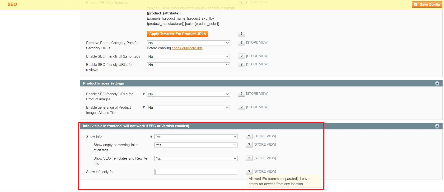 Info Section in Advanced SEO Suite