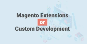 Magento Custom Development vs Extensions: Which Is Right for Your Store?
