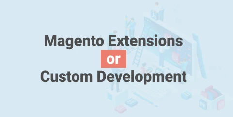 Magento Custom Development vs Extensions: Which Is Right for Your Store?