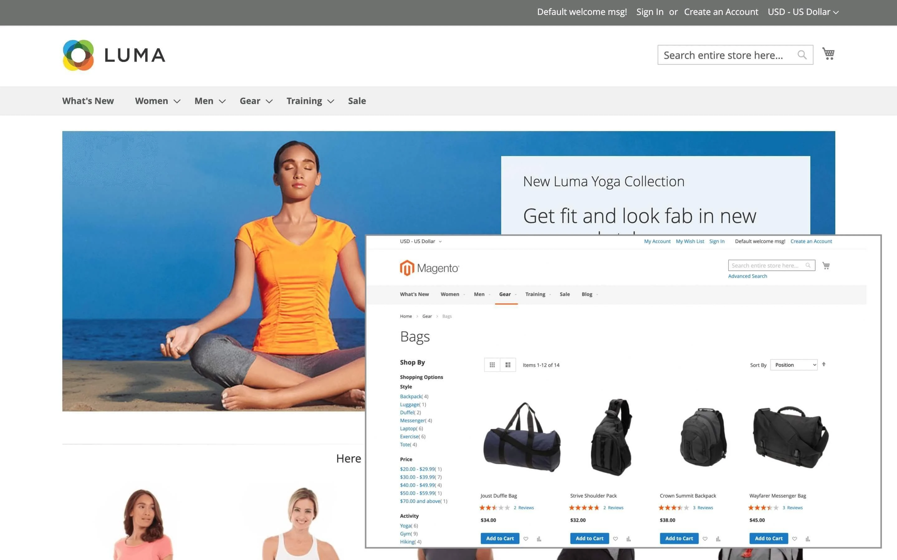 Magento 2 Luma and Blank Theme